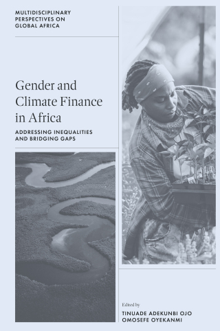 Gender and Climate Finance in Africa