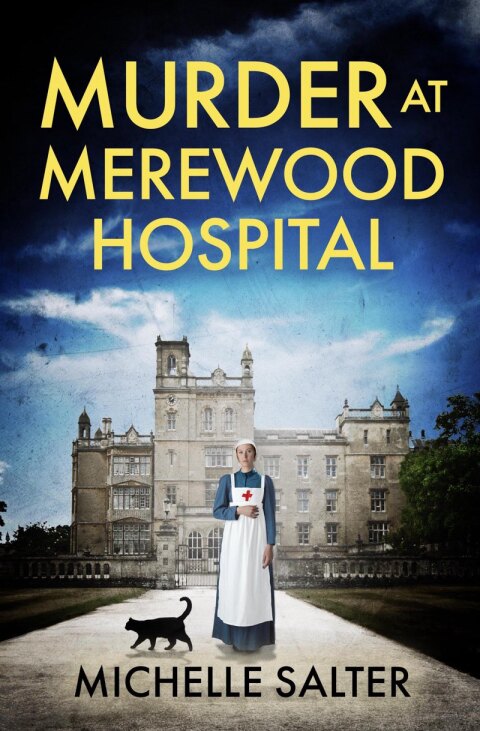 Cover image for book Murder at Merewood Hospital