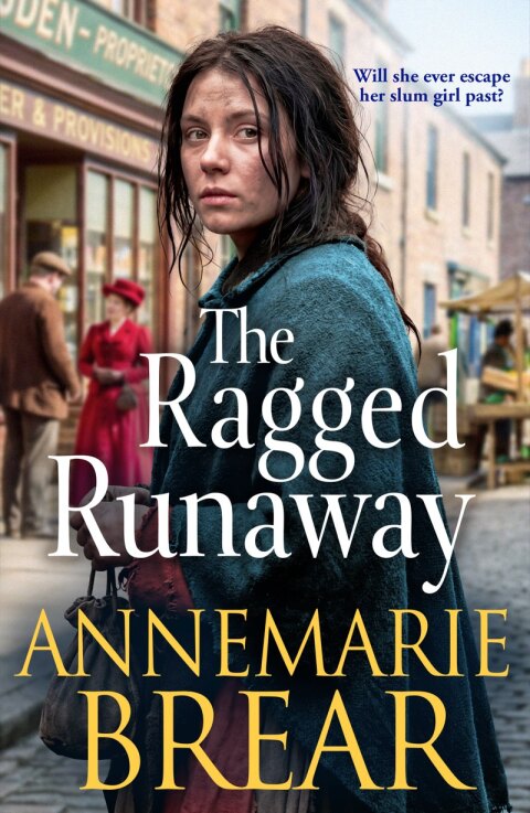 Cover image for book The Ragged Runaway