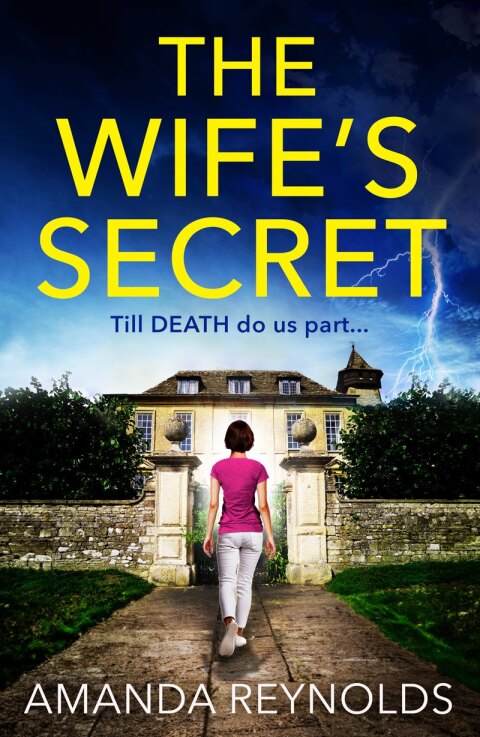 Cover image for book The Wife's Secret