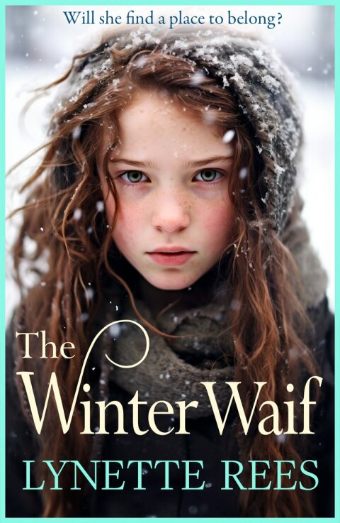 Cover image for book The Winter Waif