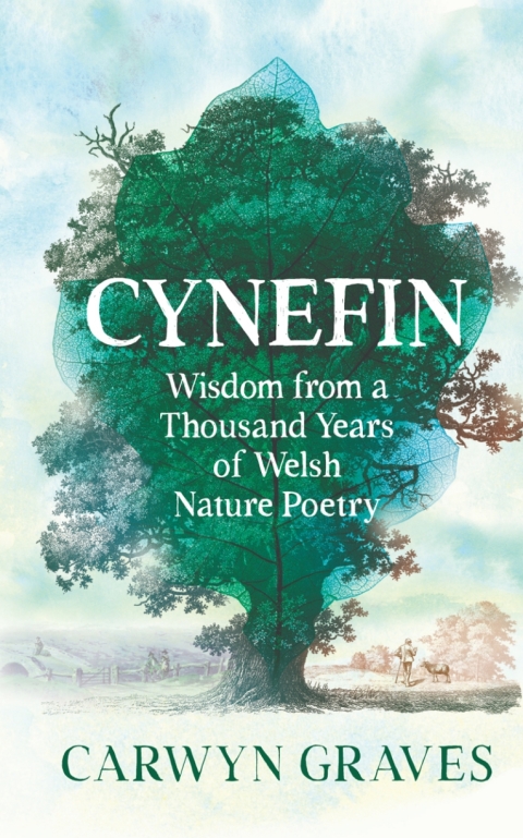 Cover image for book Cynefin