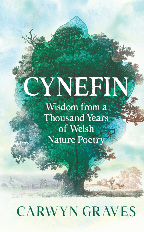 Cover image for book Cynefin