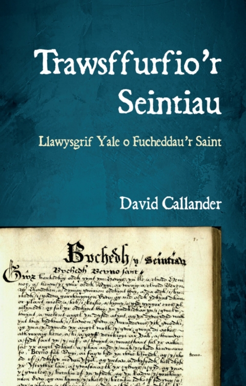 Cover image for book Trawsffurfio’r Seintiau