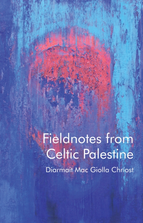 Cover image for book Fieldnotes from Celtic Palestine