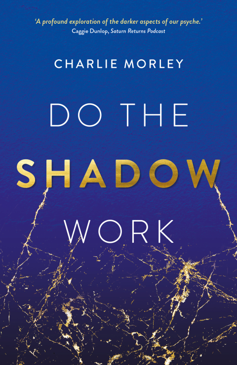 Cover image for book Do the Shadow Work