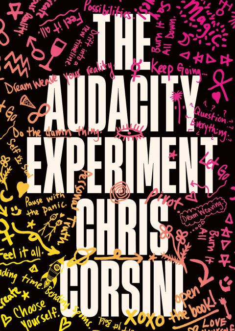 Cover image for book The Audacity Experiment