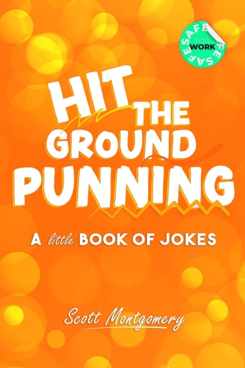 Cover image for book Hit the Ground Punning