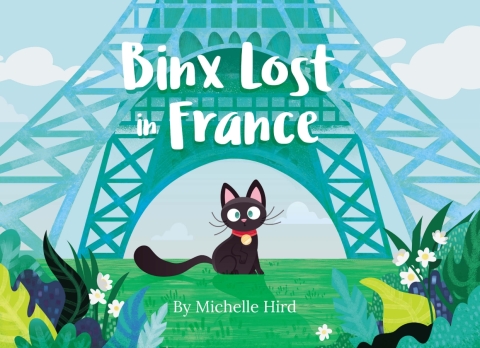 Cover image for book Binx Lost in France