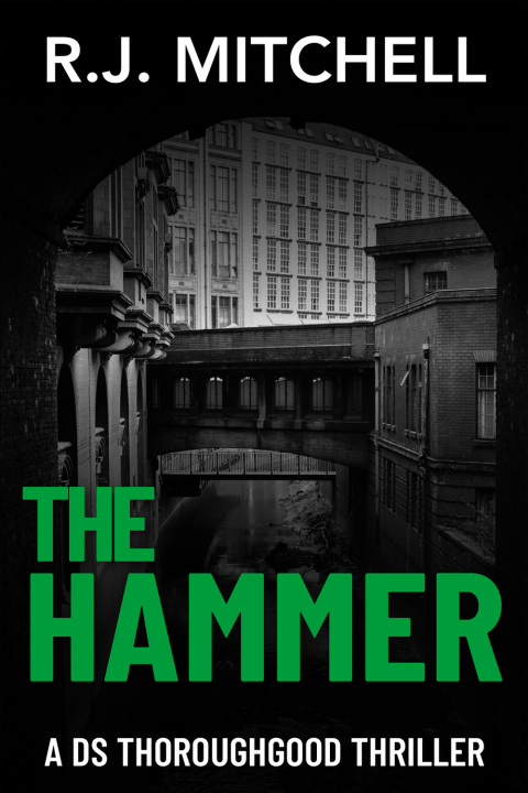 Cover image for book The Hammer
