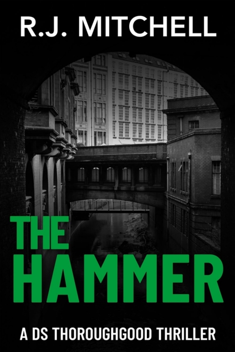 Cover image for book The Hammer