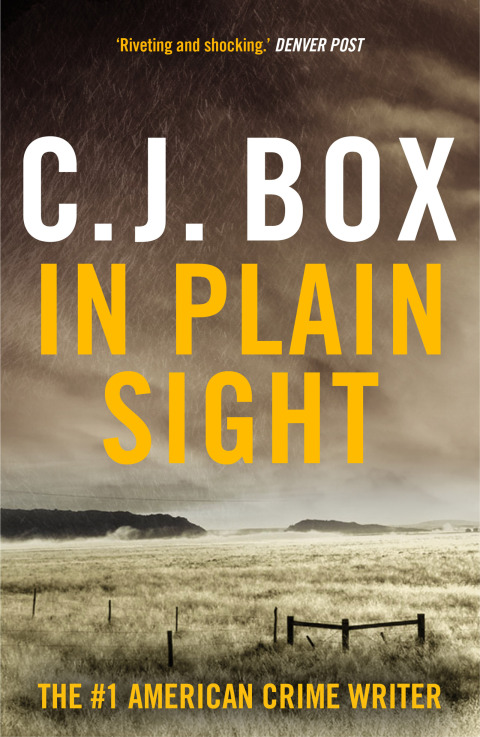 In Plain Sight 
