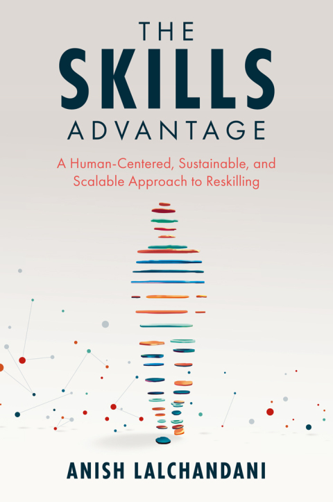 Cover image for book The Skills Advantage