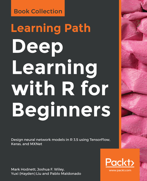 Cover image for book Deep Learning with R for Beginners