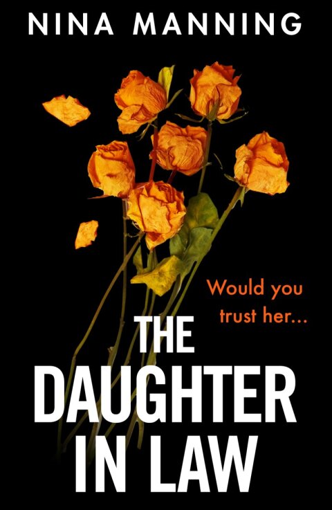 Cover image for book The Daughter In Law