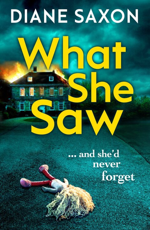 Cover image for book What She Saw