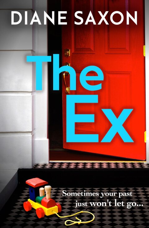 Cover image for book The Ex