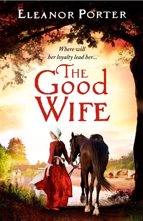 Cover image for book The Good Wife