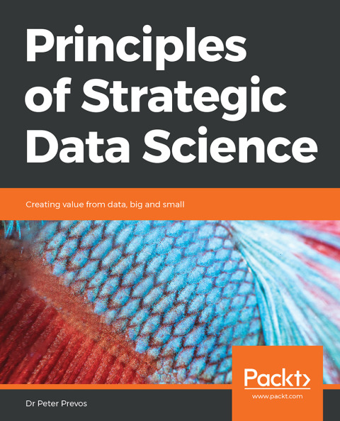 Cover image for book Principles of Strategic Data Science