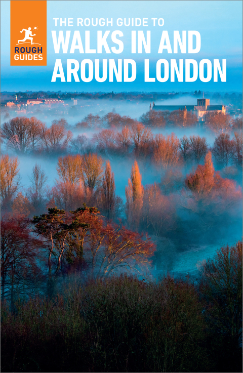 Cover image for book The Rough Guide to Walks in & Around London (Travel Guide)