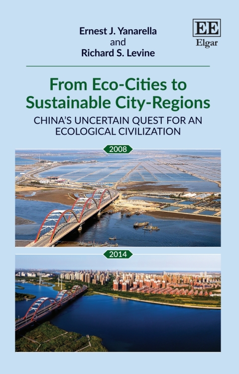 Cover image for book From Eco-Cities to Sustainable City-Regions