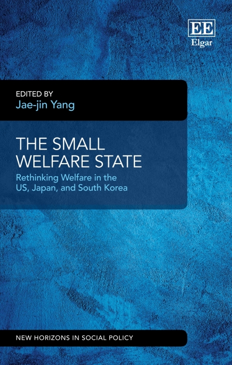 Cover image for book The Small Welfare State