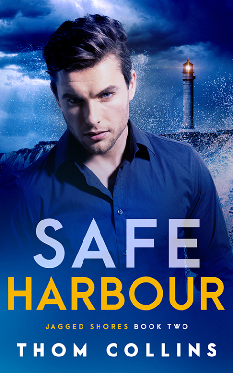 Cover image for book Safe Harbour