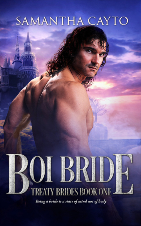 Cover image for book Boi Bride
