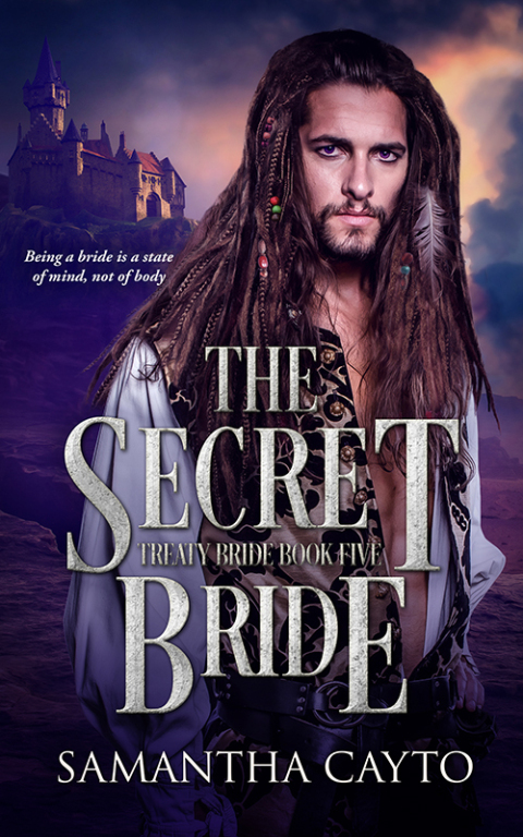 Cover image for book The Secret Bride