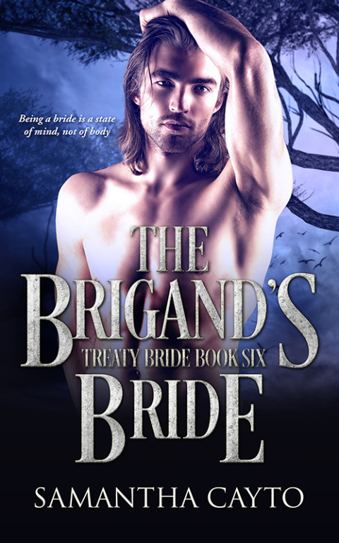 Cover image for book The Brigand's Bride
