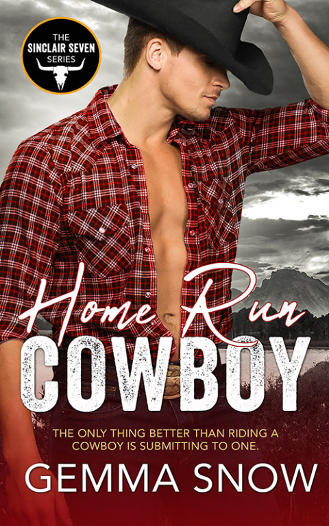 Cover image for book Home Run Cowboy