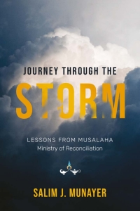 Cover image: Journey through the Storm 9781839730238