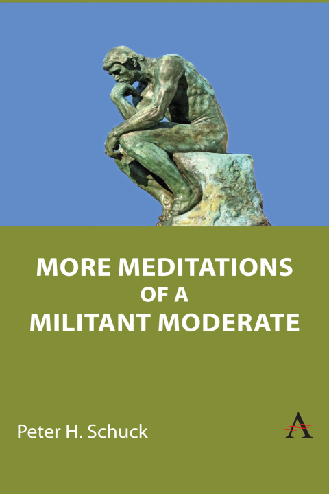 Cover image for book More Meditations of a Militant Moderate