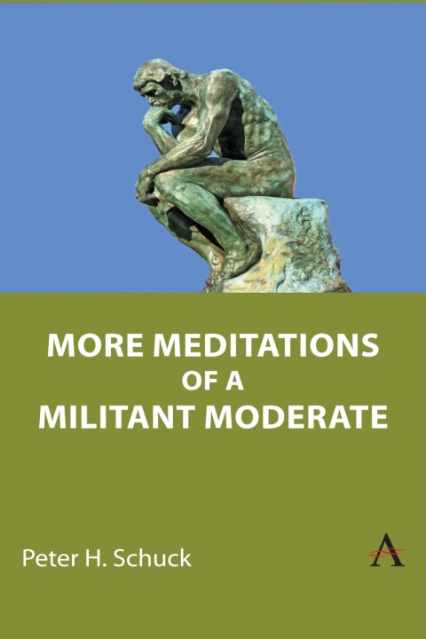 Cover image for book More Meditations of a Militant Moderate
