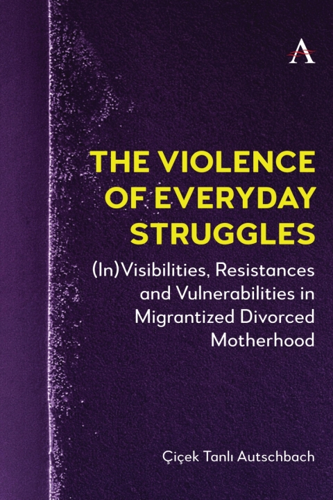 Cover image for book The Violence of Everyday Struggles