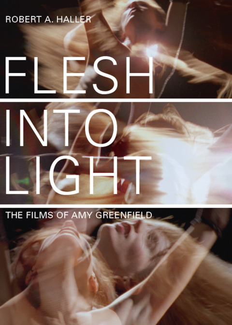 Cover image for book Flesh Into Light
