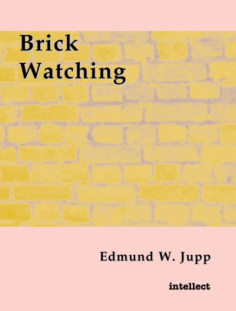 Cover image for book Brick Watching