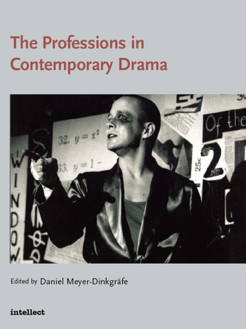The Professions in Contemporary Drama 