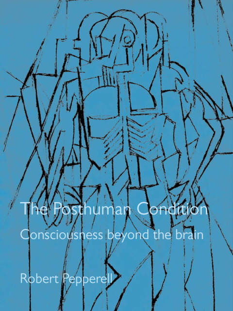 Cover image for book The Posthuman Condition