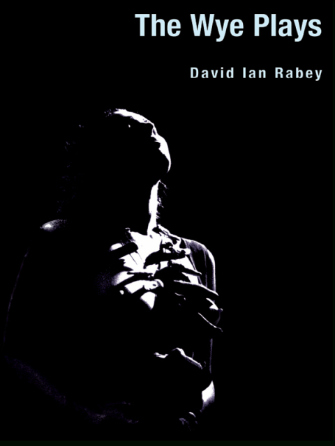Cover image for book The Wye Plays