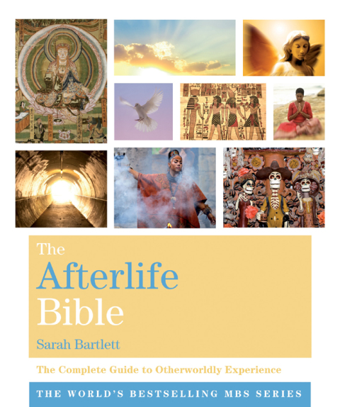 Cover image for book The Afterlife Bible