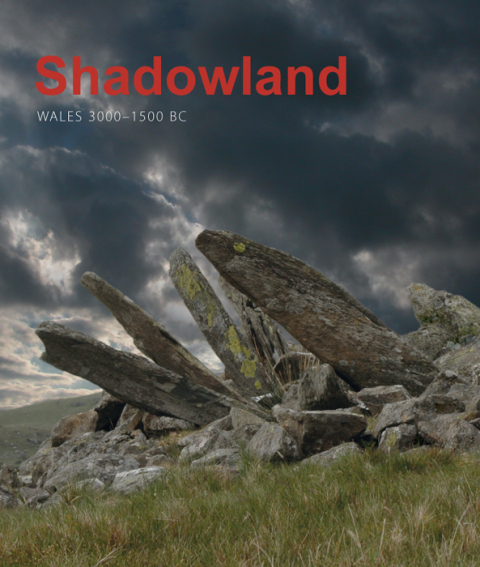 Cover image for book Shadowland