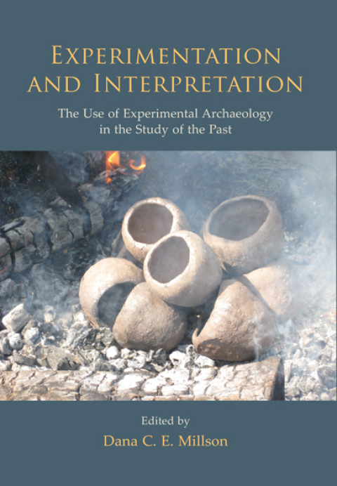 Cover image for book Experimentation and Interpretation