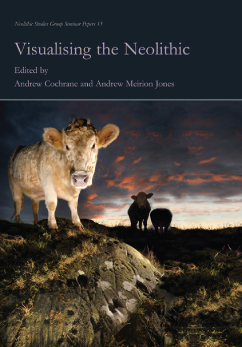 Cover image for book Visualising the Neolithic
