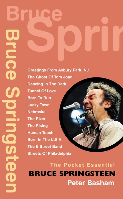 Cover image for book Bruce Springsteen