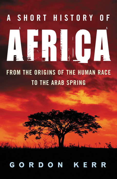 Cover image for book A Short History of Africa