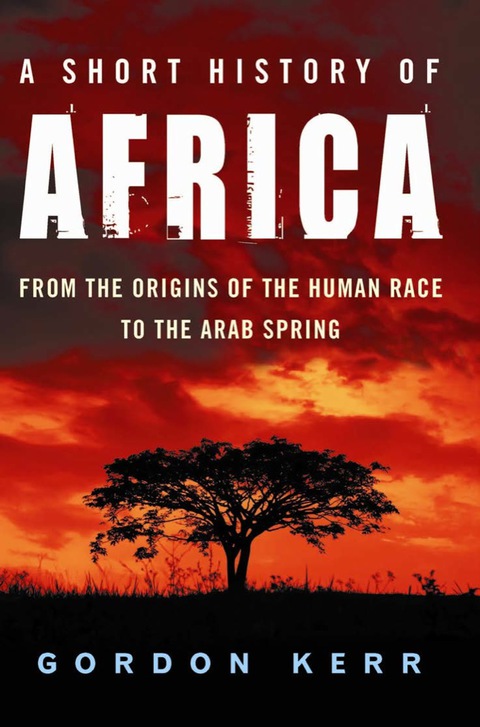 Cover image for book A Short History of Africa