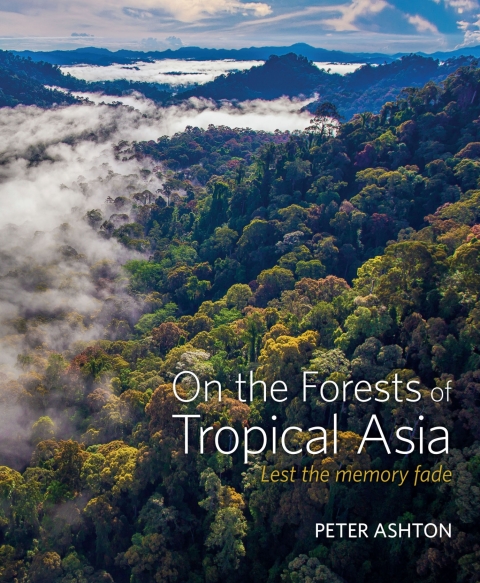 Cover image for book On the Forests of Tropical Asia