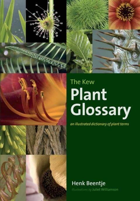 Cover image for book The Kew Plant Glossary