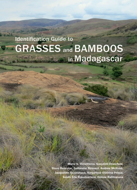 Cover image for book Identification Guide to Grasses and Bamboos in Madagascar